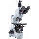 Microscopio Trinocular Biologico B-383PH
