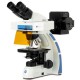 Microscopio  Binocular para Fluorescencia OX 3070