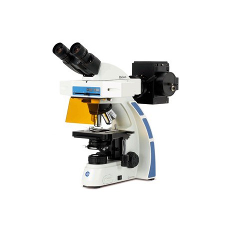 Microscopio  Binocular para Fluorescencia OX 3070