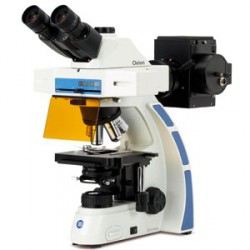 Microscopio  Trinocular para Fluorescencia OX 3075