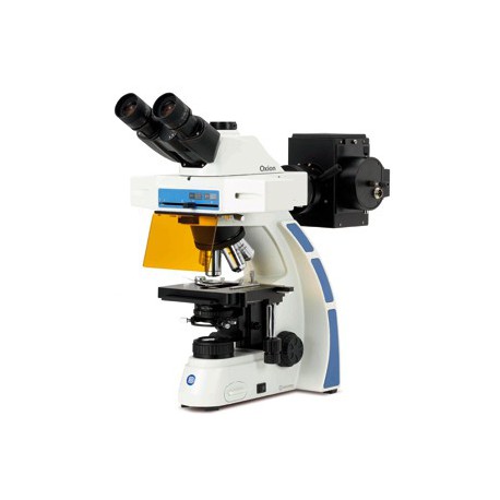 Microscopio  Trinocular para Fluorescencia OX 3075