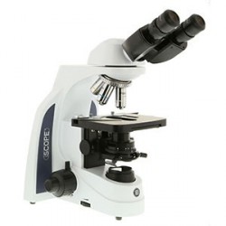 Microscopio  iScope para Campo Claro IS 1152-PLi