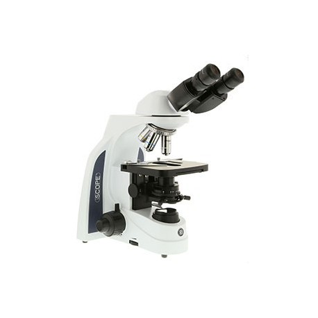 Microscopio  iScope para Campo Claro IS 1152-PLi
