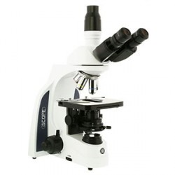 Microscopio  iScope para Campo Claro IS 1153-Pli