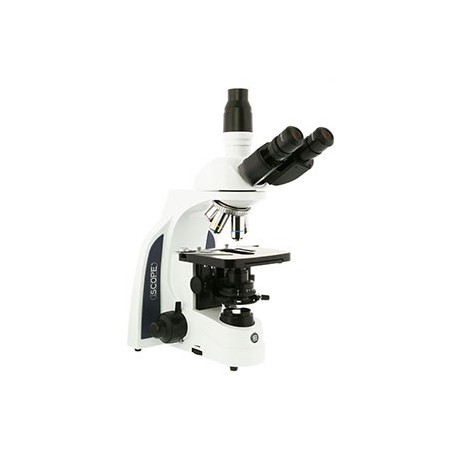 Microscopio  iScope para Campo Claro IS 1153-EPL