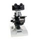 Microscopio  Binocular para el Contraste de Fase F