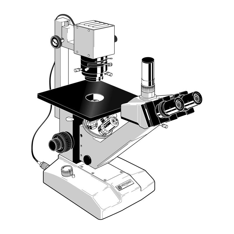 Microscopio Invertido Trinocular para el Campo Claro FE 2915